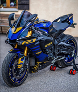 Amotopart Yamaha 2015-2019 YZF 1000 R1 Special Custom Fairing