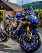 Amotopart Yamaha 2015-2019 YZF 1000 R1 Special Custom Fairing